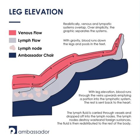 compression test elevation|why does elevation help inflammation.